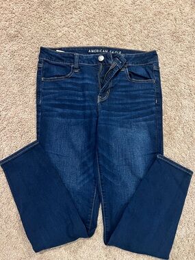 American Eagle Outfitters Dark Blue Skinny Jeggings